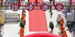 秦城坊：用实打实的酒质和灵活模式，寻找同行人