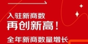 京东发布2025年春晓计划成绩单：新商数增长57%，覆盖全国4000个区县