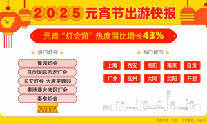 ​飞猪报告显示亲子家庭成元宵夜游主力军，占比达70%