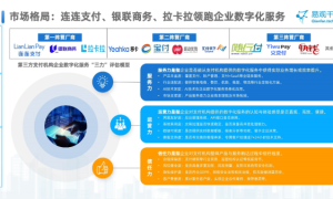 《中国第三方支付行业年度分析报告2025》发布 连连支付入选企业数字化服务第一阵营